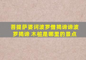 菩提萨婆诃波罗僧揭谛谛波罗揭谛 木桩是哪里的景点